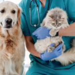 Ветеринарна клініка Ірпінь