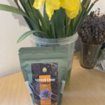 що лікує кмин фото