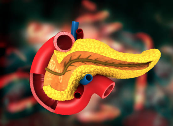 жовчогінні продукти