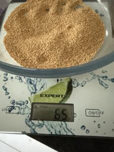 як готувати амарант фото