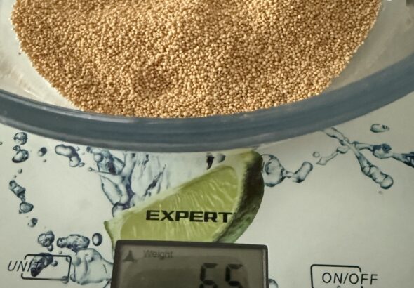 як готувати амарант фото